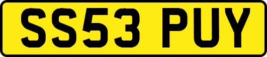 SS53PUY