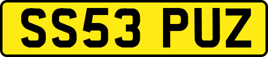 SS53PUZ