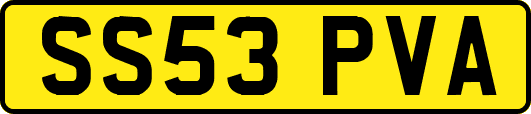 SS53PVA