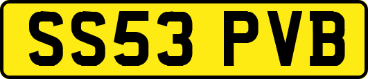 SS53PVB
