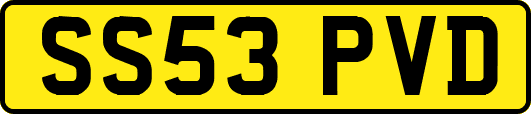 SS53PVD