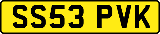 SS53PVK