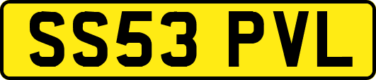SS53PVL