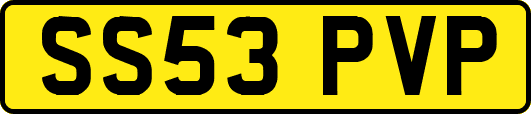 SS53PVP