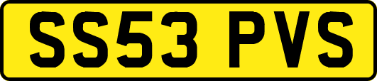 SS53PVS