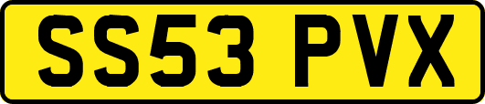 SS53PVX