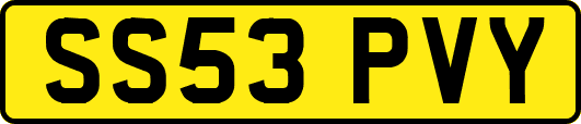 SS53PVY