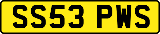 SS53PWS