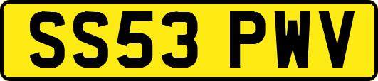 SS53PWV