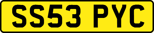 SS53PYC