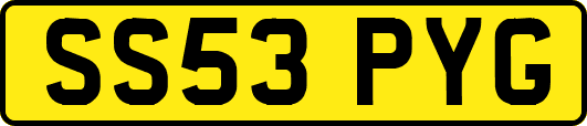 SS53PYG