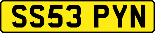 SS53PYN