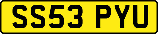 SS53PYU