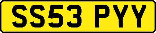 SS53PYY