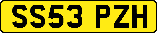 SS53PZH
