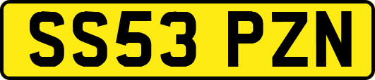 SS53PZN