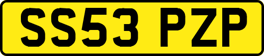 SS53PZP