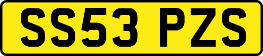 SS53PZS