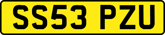 SS53PZU