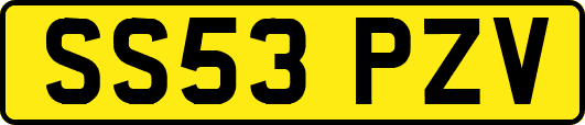 SS53PZV