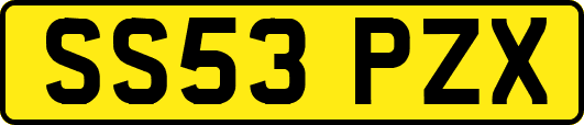 SS53PZX