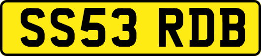 SS53RDB