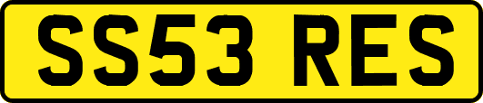 SS53RES