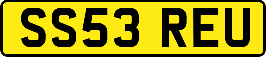 SS53REU