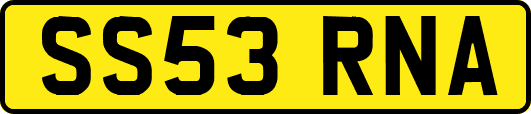 SS53RNA