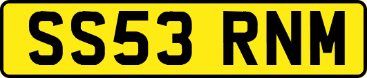 SS53RNM