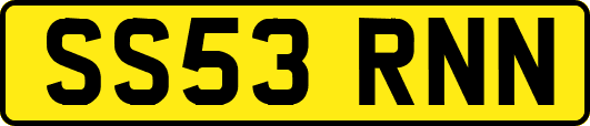 SS53RNN