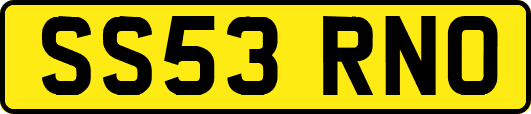 SS53RNO