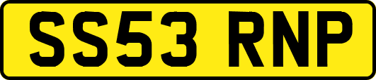 SS53RNP