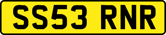SS53RNR