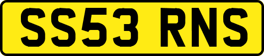 SS53RNS