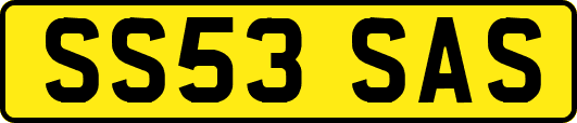SS53SAS