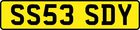 SS53SDY