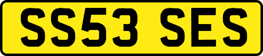 SS53SES