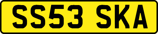 SS53SKA