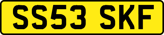 SS53SKF