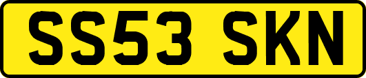 SS53SKN