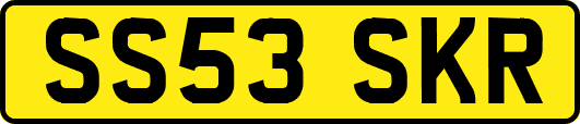 SS53SKR