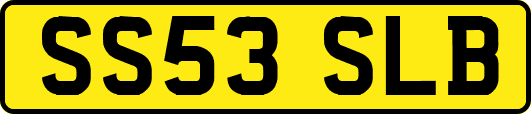 SS53SLB