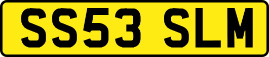 SS53SLM