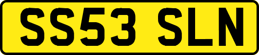 SS53SLN