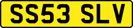 SS53SLV