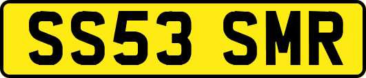 SS53SMR