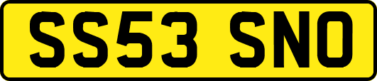 SS53SNO