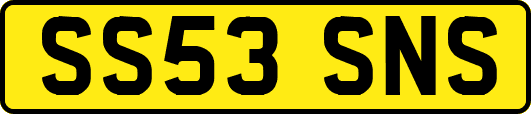 SS53SNS