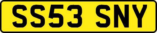 SS53SNY